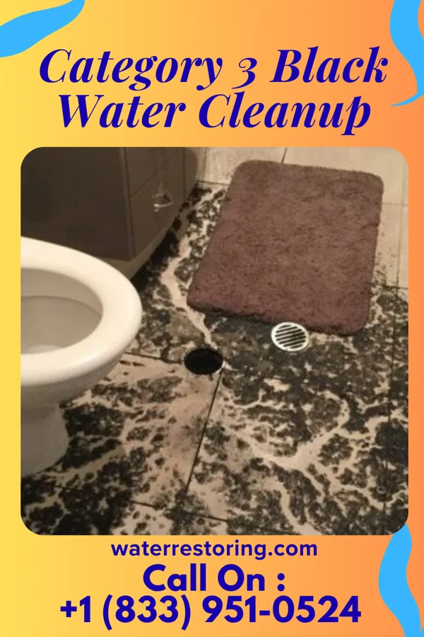 Category 3 Black Water Cleanup in Suffield, OH