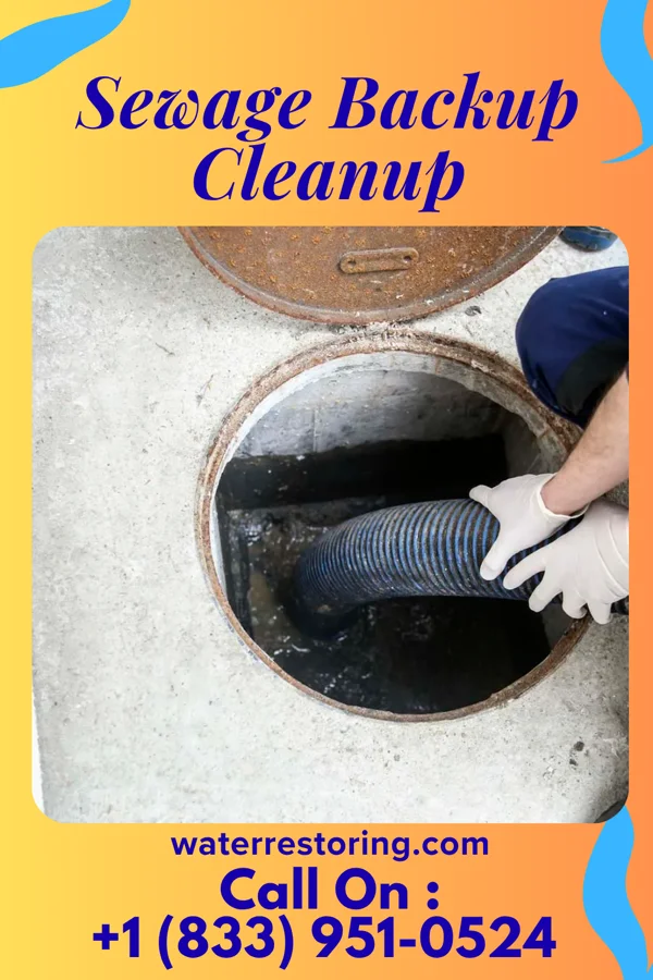 Sewage Backup Cleanup in Suffield, OH