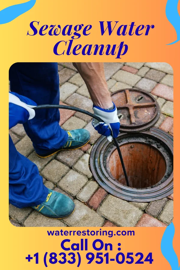 Sewage Water Cleanup in Suffield, OH