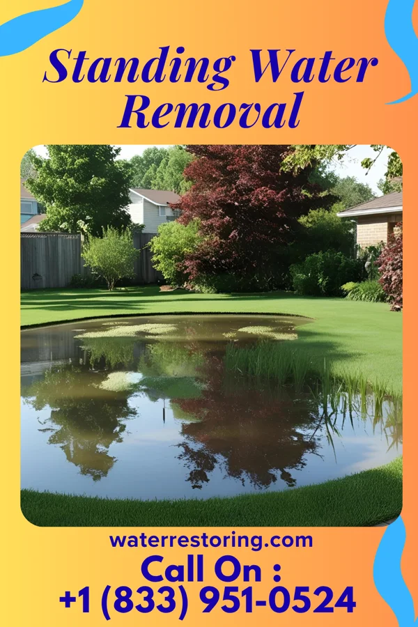Standing Water Removal in Suffield, OH